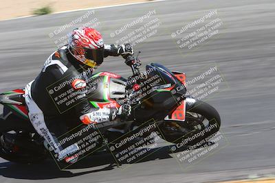 media/Apr-14-2024-SoCal Trackdays (Sun) [[70f97d3d4f]]/10-Turn 10 Inside From the Berm (130pm)/